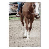 Western Paint Horse (Vorne)