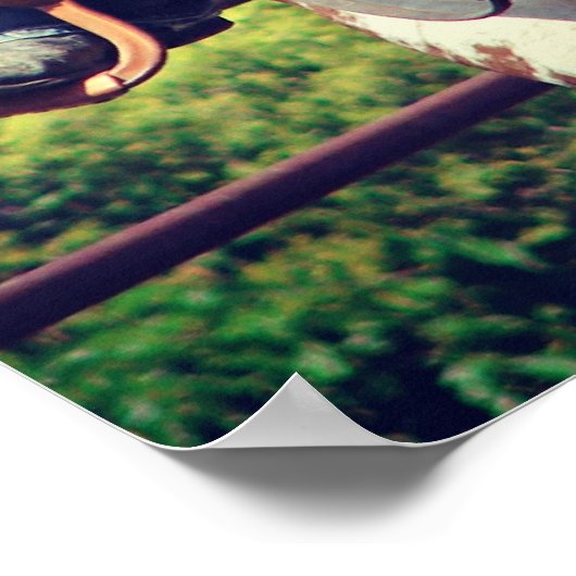 Western Paint Horse Poster (Ecke)