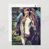 Western Paint Horse Postkarte (Vorne/Hinten)