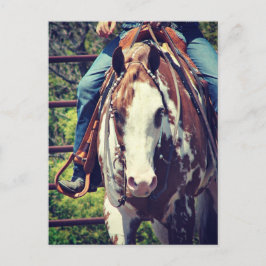 Western Paint Horse Postkarte