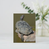 Western Painted Turtle Postcard Postkarte (Stehend Vorderseite)