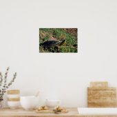Western Painted Turtle Poster (Küche)