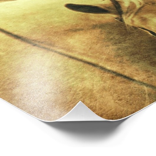 Western Palomino Fotodruck (Ecke)