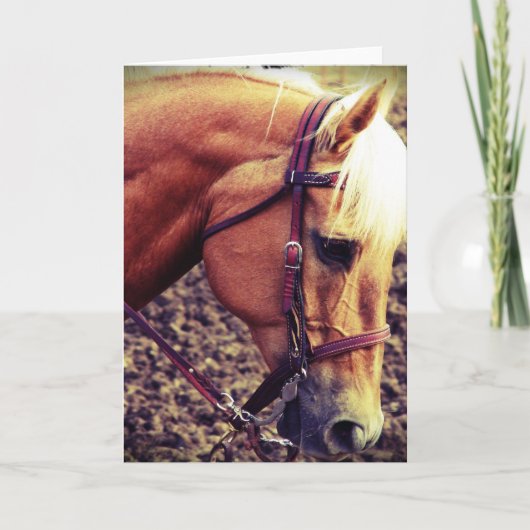 Western Palomino Karte (Vorderseite)