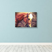 Western Palomino Leinwanddruck (Insitu (Holzboden))