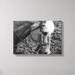 Western Palomino Pferd in Sepia Canvas Print Leinwanddruck