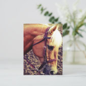 Western Palomino Postkarte (Stehend Vorderseite)