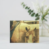 Western Palomino Postkarte (Stehend Vorderseite)