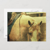Western Palomino Postkarte (Vorne/Hinten)