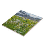 Western Pasqueflower | Ost-Kootenay-Berge Fliese (Seite)