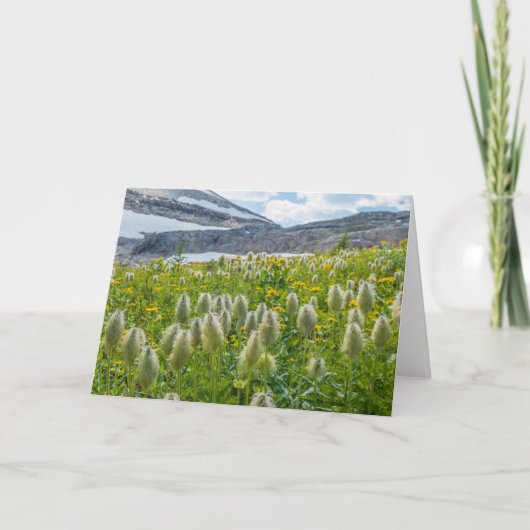 Western Pasqueflower | Ost-Kootenay-Berge Karte (Vorderseite)