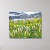 Western Pasqueflower | Ost-Kootenay-Berge Leinwanddruck (Vorderseite)