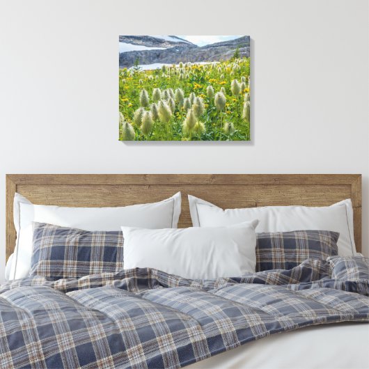 Western Pasqueflower | Ost-Kootenay-Berge Leinwanddruck (Insitu (Schlafzimmer))
