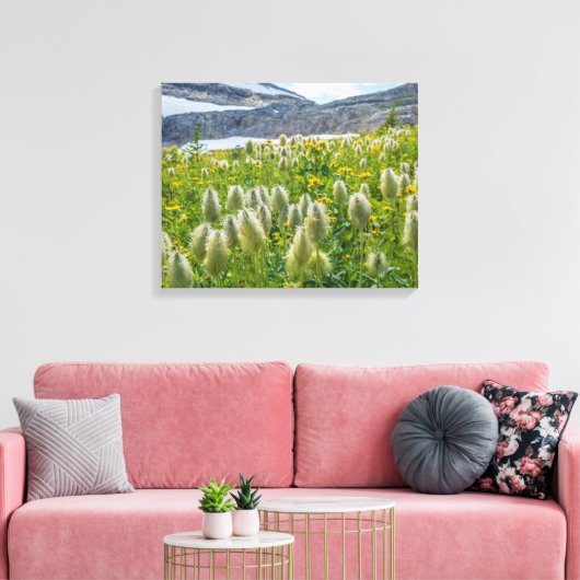 Western Pasqueflower | Ost-Kootenay-Berge Leinwanddruck (Insitu (Wohnzimmer))