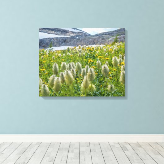 Western Pasqueflower | Ost-Kootenay-Berge Leinwanddruck (Insitu (Holzboden))