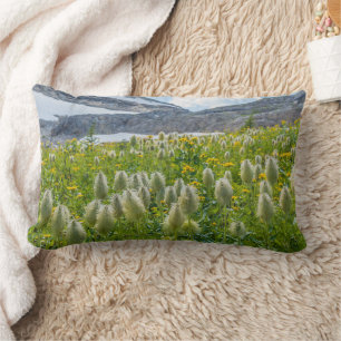 Western Pasqueflower Ost-Kootenay-Berge Lendenkissen