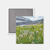 Western Pasqueflower | Ost-Kootenay-Berge Magnet (Vorderseite/Rückseite)