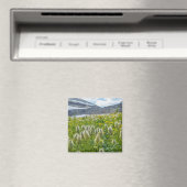 Western Pasqueflower | Ost-Kootenay-Berge Magnet (In Situ (Geschirrspüler))