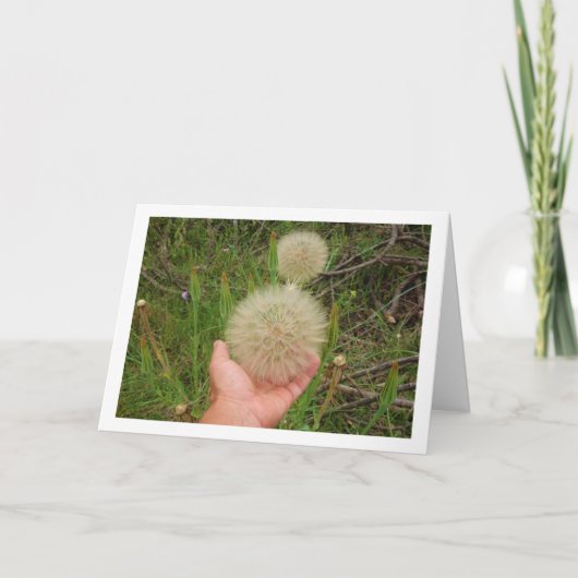 Western Pflanze-Karte Karte (Vorderseite)