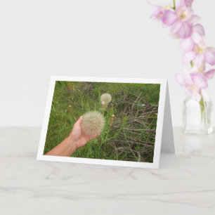 Western Pflanze salsifizieren Karte