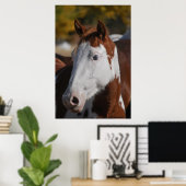 Western Piebald Pinto Paint Poster Art Printing (Heimbüro)