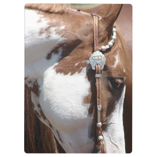 Western Pinto Klemmbrett (Rückseite)