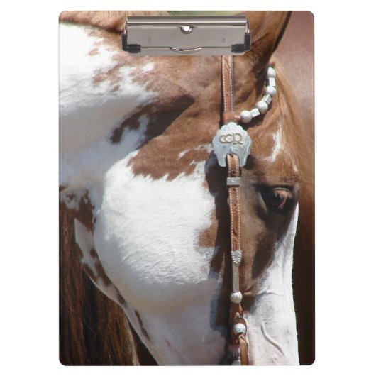 Western Pinto Klemmbrett (Vorderseite)