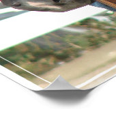 Western Pinto Pony Poster (Ecke)