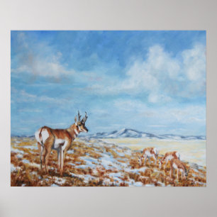 Western Plains Camouflage Kunstdrucken Poster