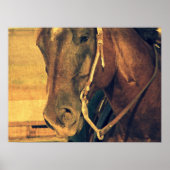 Western Poster (Vorne)