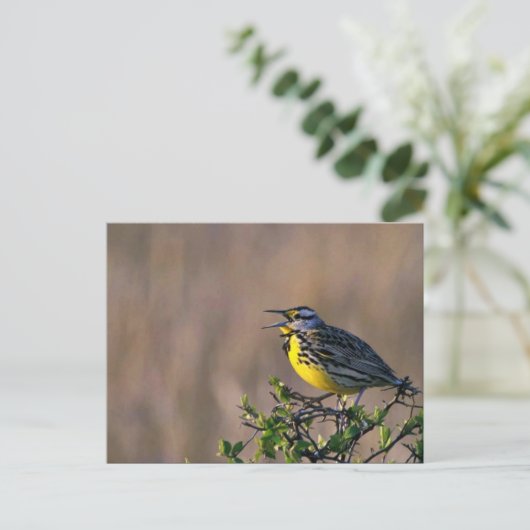 Western Postkarte (Stehend Vorderseite)