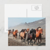 Western Postkarte (Vorne/Hinten)