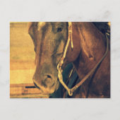 Western Postkarte (Vorderseite)