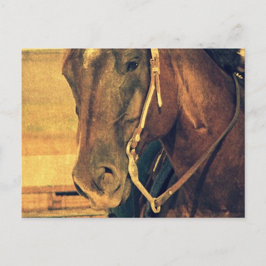 Western Postkarte (Vorderseite)