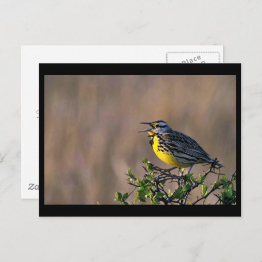 Western Postkarte (Vorne/Hinten)