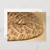 Western Postkarte (Vorne/Hinten)