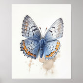 Western Pygmy Butterfly Art Print Poster (Vorne)