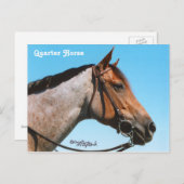 Western Quarter Horst Postkarte (Vorne/Hinten)
