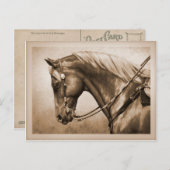 Western Ranch Pferd Altes Foto Sepia Postkarte (Vorne/Hinten)