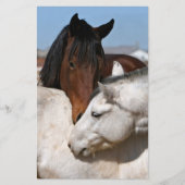 Western-Ranch-Pferde-Liebe Flyer (Vorne)