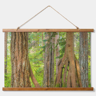 Western Red Cedar Tree   Washington State Wandteppich Mit Holzrahmen