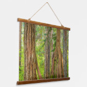 Western Red Cedar Tree | Washington State Wandteppich Mit Holzrahmen (Gewinkelt)