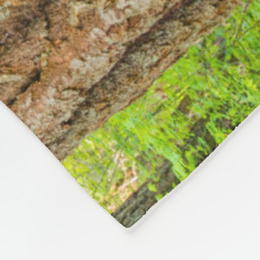 Western Red Cedar Tree | Washingtoner Staat Fleecedecke (Ecke)