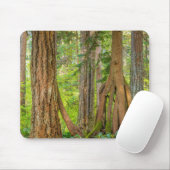 Western Red Cedar Tree | Washingtoner Staat Mousepad (Mit Mouse)