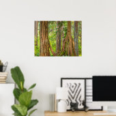 Western Red Cedar Tree | Washingtoner Staat Poster (Heimbüro)