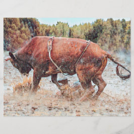 Western Rodeo Bull Country Cowboy Vintag rustikal