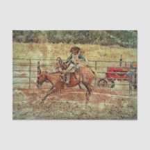 Western Rodeo Land Reiten Textur