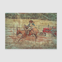 Western Rodeo Land Reiten Textur