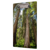 Western Rote Zedernbaume Klemmbrett (Links)