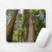 Western Rote Zedernbaume Mousepad (Mit Mouse)
